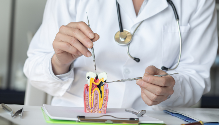 Charlotte Progressive Dentistry - Endodontics in Charlotte, NC 28226