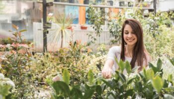 Nashville Smiles - Cosmetic Dentist in Nashville, TN 37221