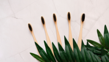 Palmetto Dental Associates - General Dentist in Little River, SC 29566