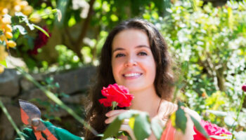 Heath Family Dentistry - Cosmetic Dentist in College Station, TX 77845