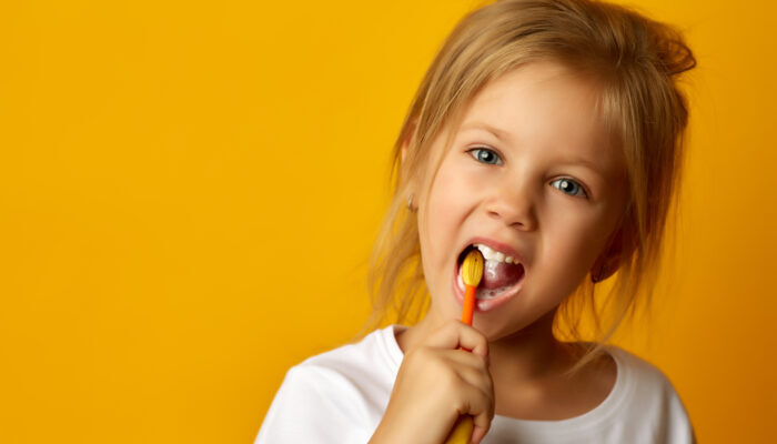 A Kids Place, Too! Dentistry For Children - Pediatric General Dentist in Seattle, WA 98116