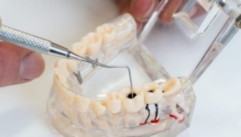 The Denture Place - Endodontist in Tampa, FL 33615