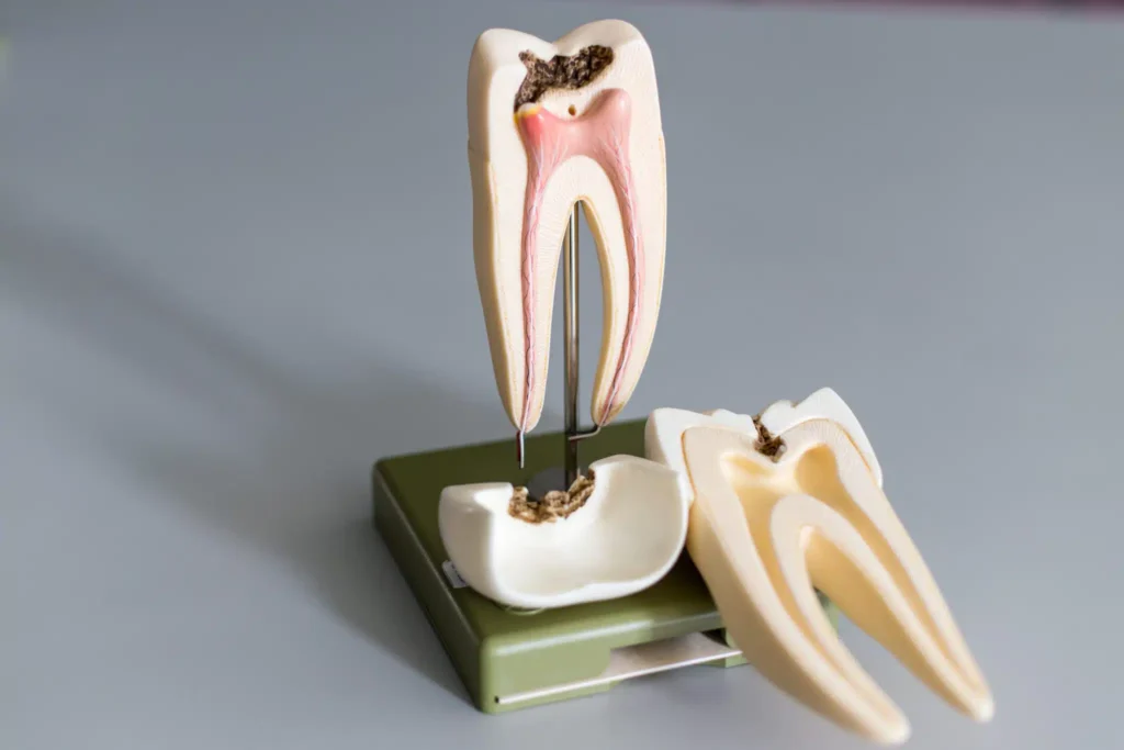 Cardwell Dental Care - Endodontist in Honolulu, HI 96826
