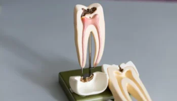 Cardwell Dental Care - Endodontist in Honolulu, HI 96826